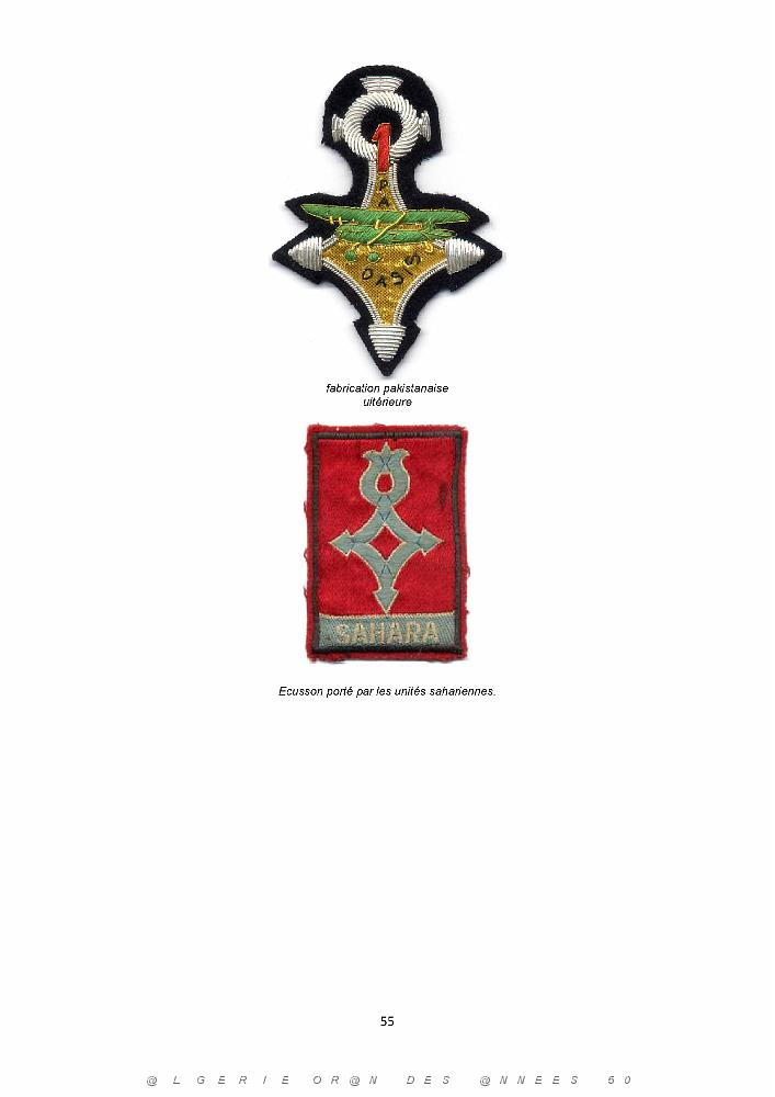 610 LES INSIGNES DE L ALAT EN AFN PAR CHRISTIAN MALCROS_000055.jpg